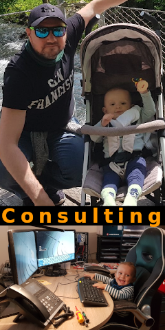 IT-Consulting